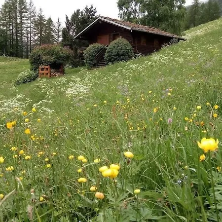'lo Chalet' Der Balkon Ueber Dem Matterhorntal By Interhome